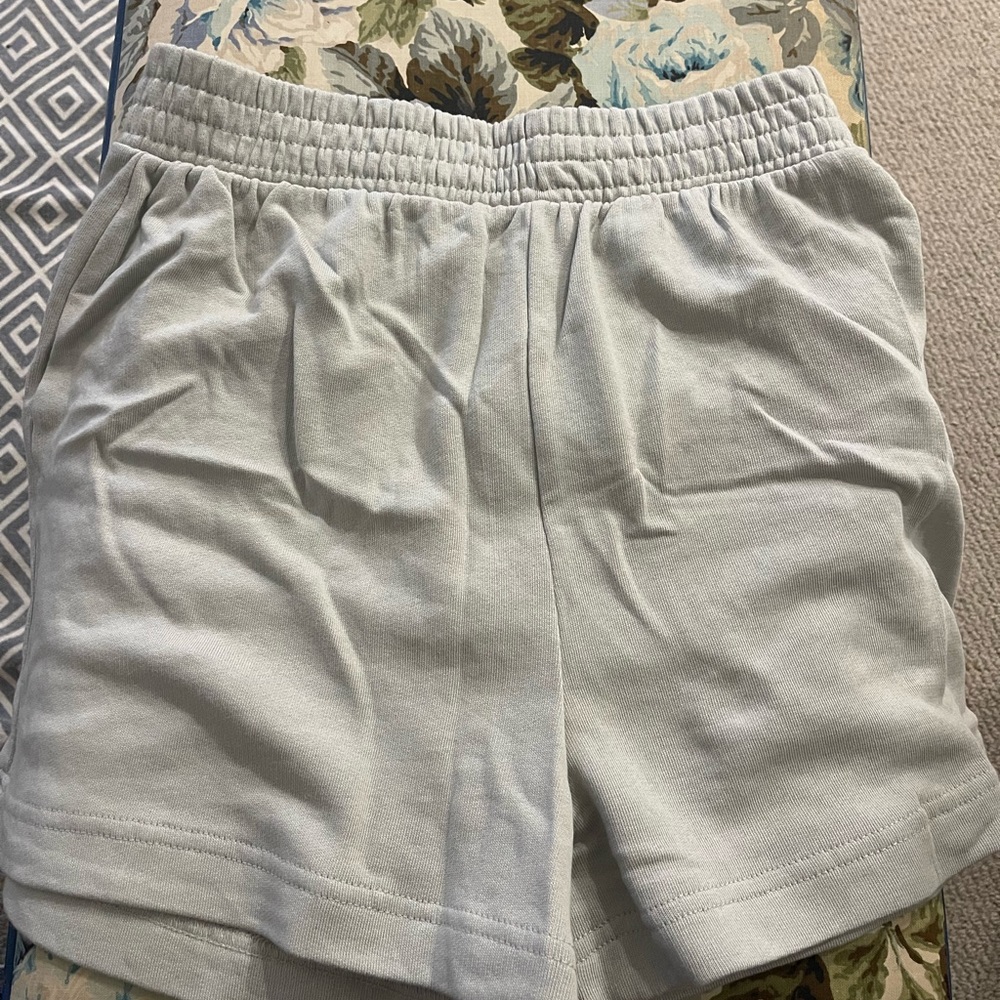 NEW Zara high waisted plush shorts